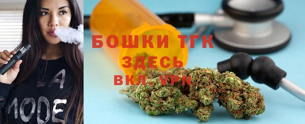 гидра Михайловка