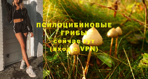 прущая мука Михайловск