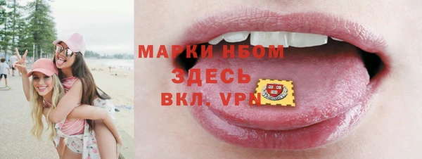 ПСИЛОЦИБИНОВЫЕ ГРИБЫ Михайлов