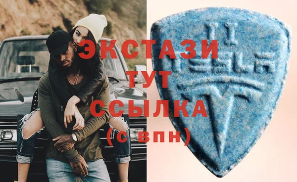 гидра Михайловка