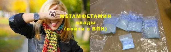 гидра Михайловка
