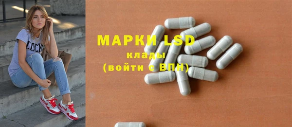 гидра Михайловка