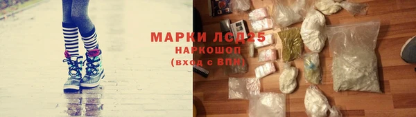 гидра Михайловка