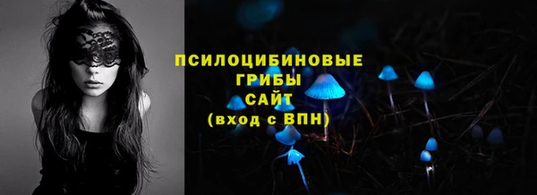 гидра Михайловка