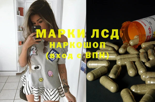 гидра Михайловка