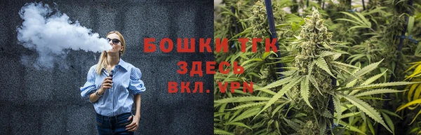 ПСИЛОЦИБИНОВЫЕ ГРИБЫ Михайлов