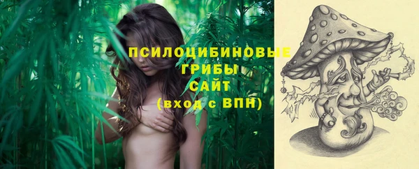 гидра Михайловка