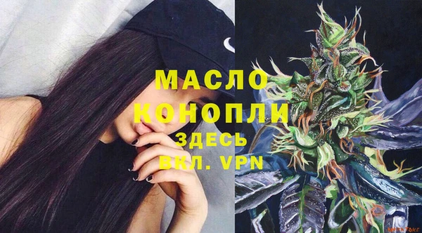 гидра Михайловка
