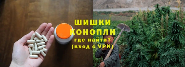 ПСИЛОЦИБИНОВЫЕ ГРИБЫ Михайлов
