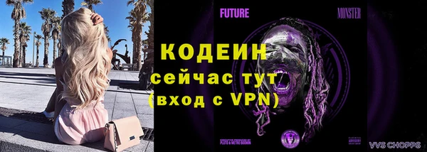 гидра Михайловка